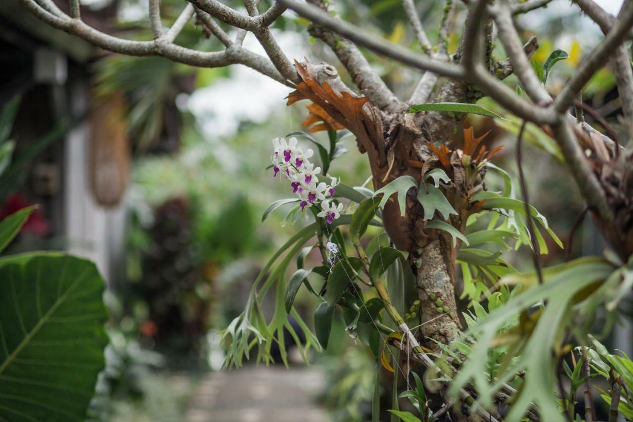 Green Taman Ubud By Prasi Dış mekan fotoğraf